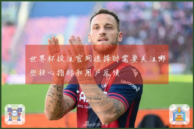 世界杯投注官网选择时需要关注哪些核心指标和用户反馈